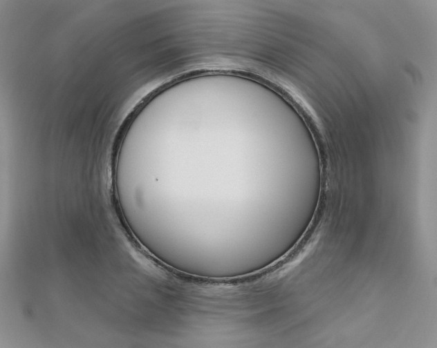 X0000110680837200906121033
