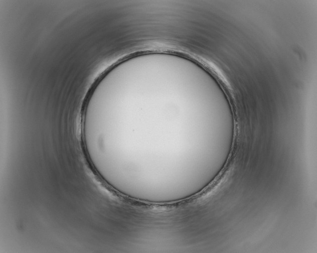 X0000110680839200906121033