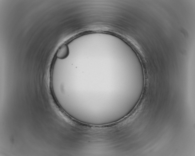 X0000110680840200906121033