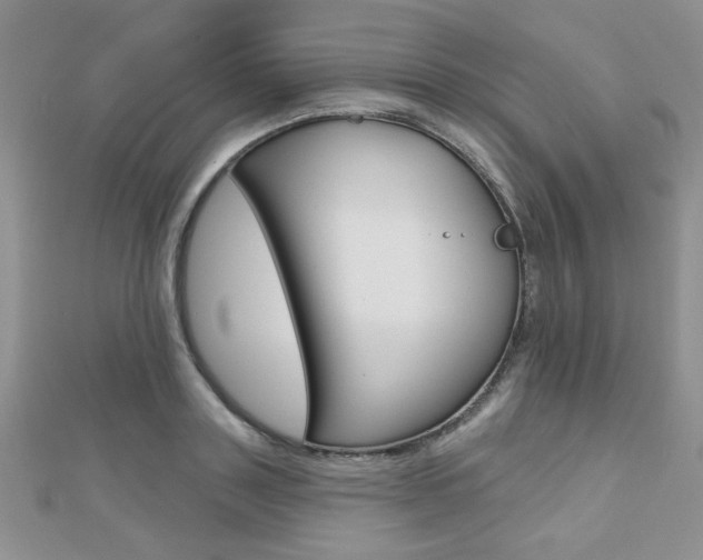 X0000110680843200906121033