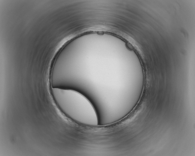 X0000110680845200906121033