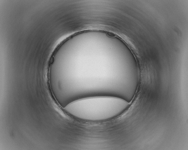 X0000110680846200906121033