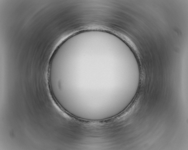 X0000110680847200906121033