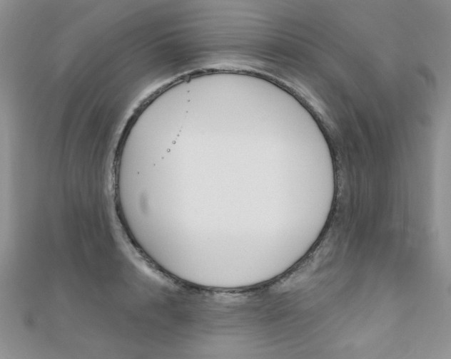 X0000110680848200906121034