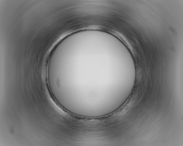X0000110680851200906121034