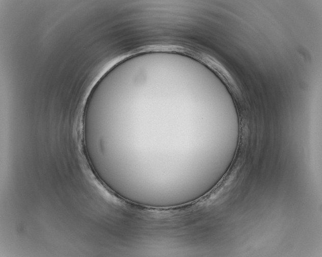 X0000110680852200906121034