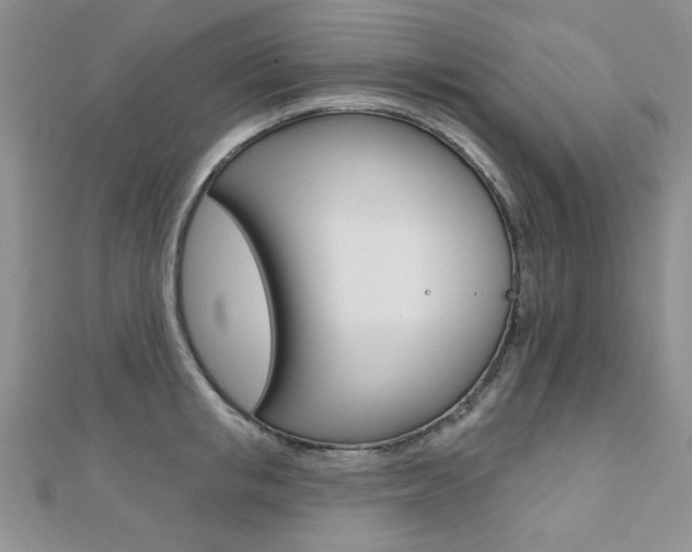 X0000110680853200906121034