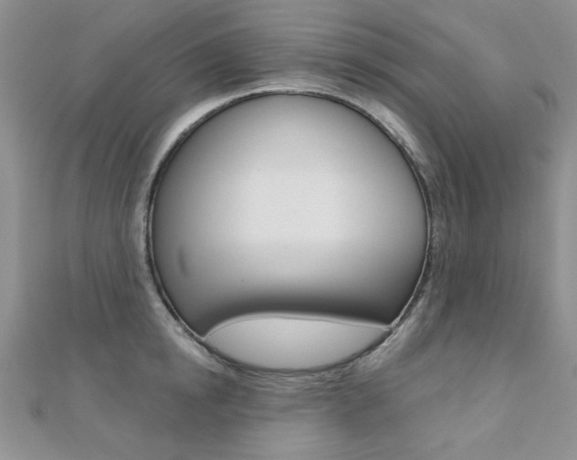 X0000110680854200906121034