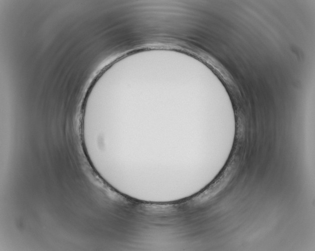 X0000110680856200906121034