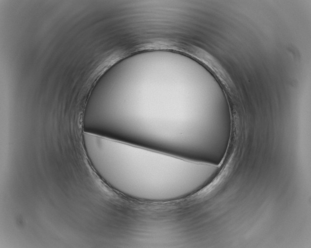 X0000110680857200906121034