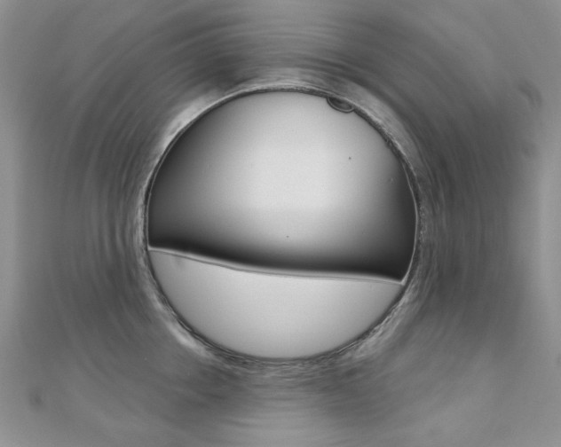 X0000110680858200906121034