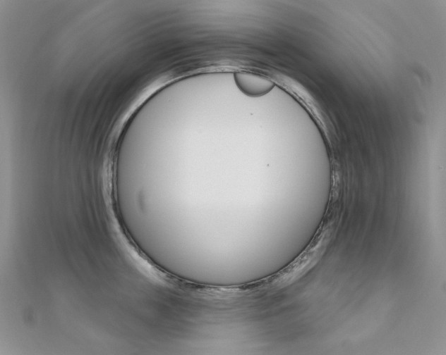 X0000110680859200906121034