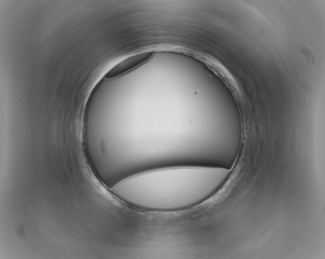X0000110680860200906121034