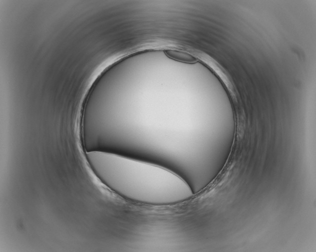 X0000110680861200906121034