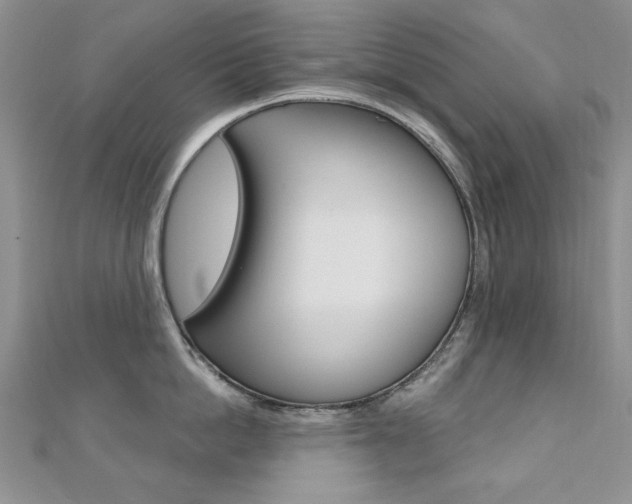 X0000110680862200906121034