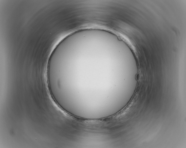 X0000110680863200906121034