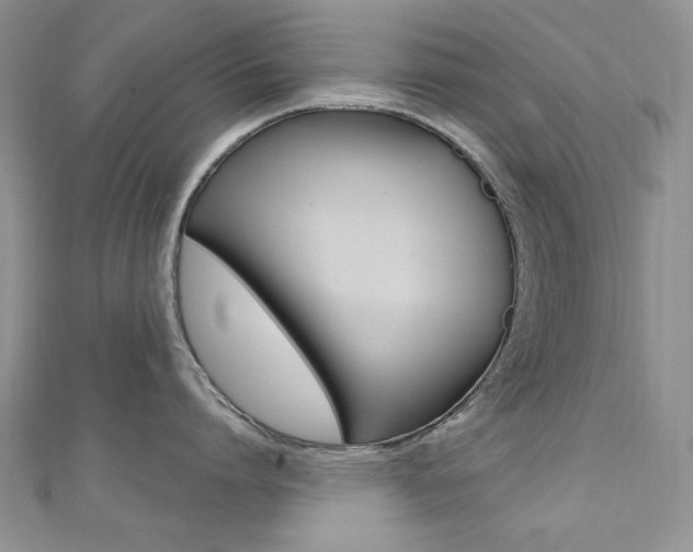 X0000110680864200906121034