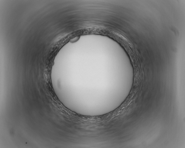 X0000110680869200906121033