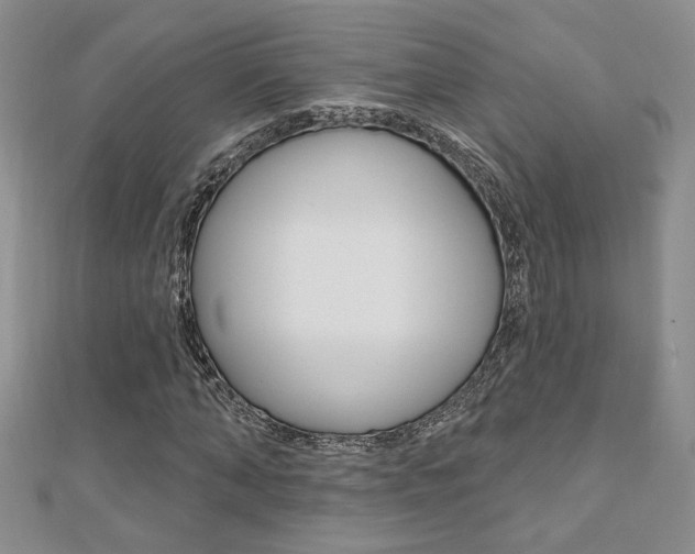 X0000110680870200906121033