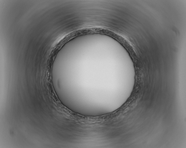 X0000110680871200906121033