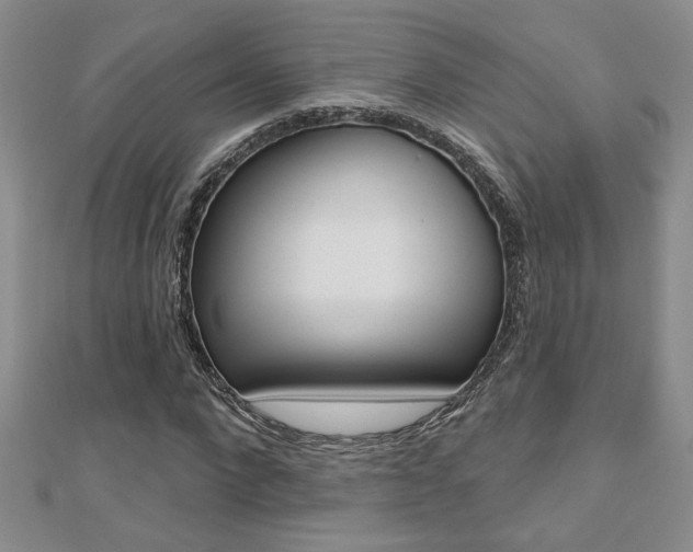 X0000110680872200906121033