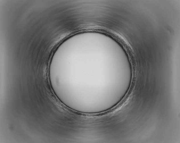 X0000110680873200906121033