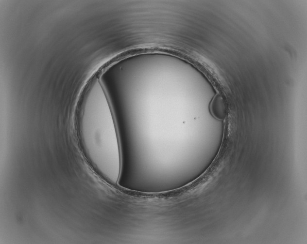 X0000110680876200906121033