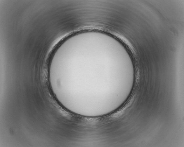 X0000110680878200906121033