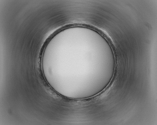 X0000110680879200906121033