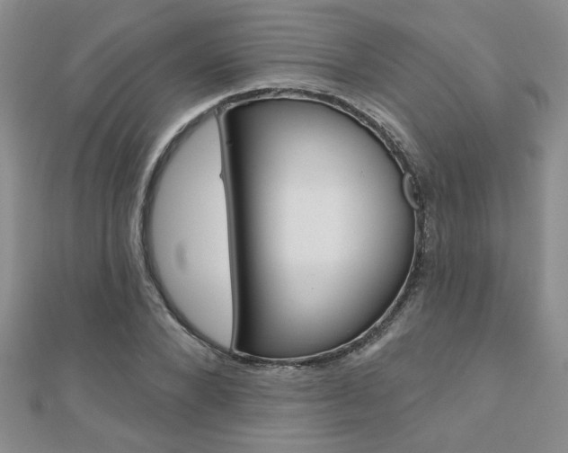 X0000110680880200906121033