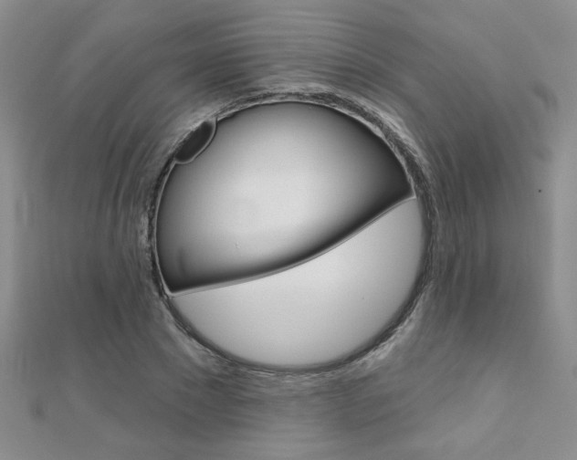 X0000110680881200906121033