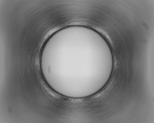 X0000110680882200906121033