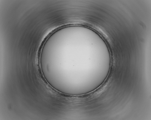 X0000110680883200906121033