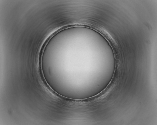 X0000110680884200906121033