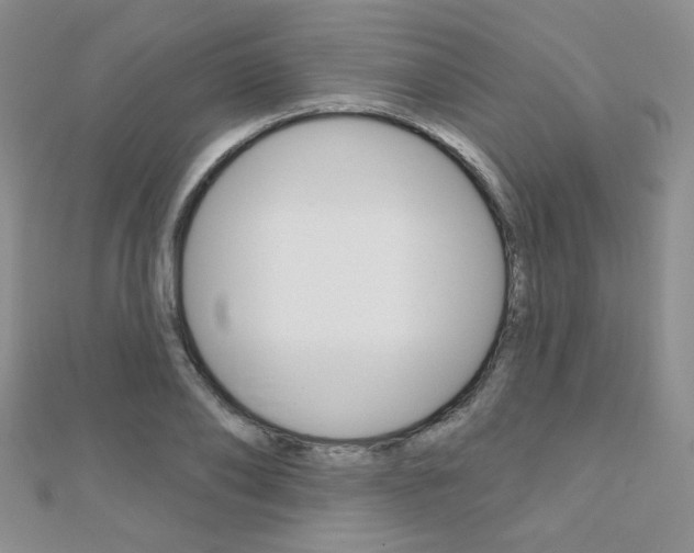 X0000110680886200906121033