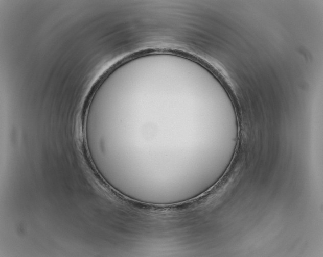 X0000110680887200906121033