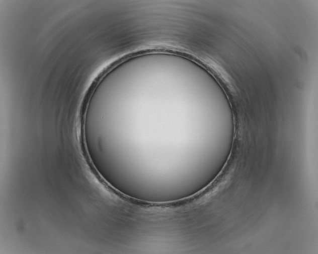 X0000110680888200906121033