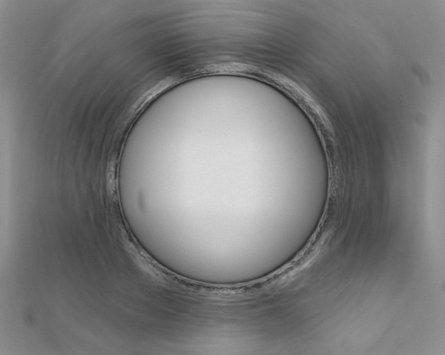 X0000110680889200906121033
