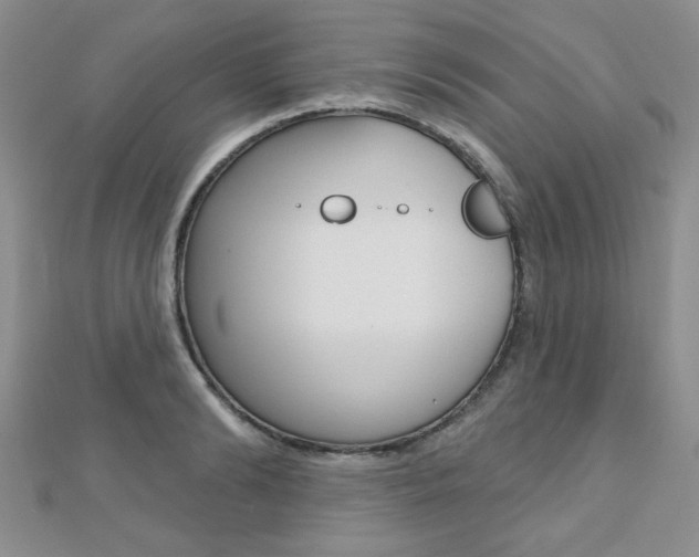 X0000110680894200906121033