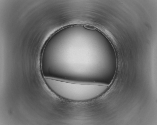 X0000110680896200906121033