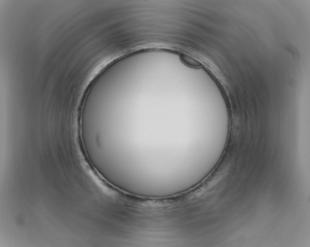 X0000110680898200906121032