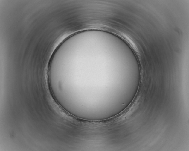 X0000110680899200906121032