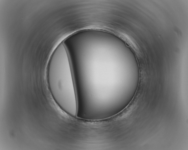 X0000110680900200906121032