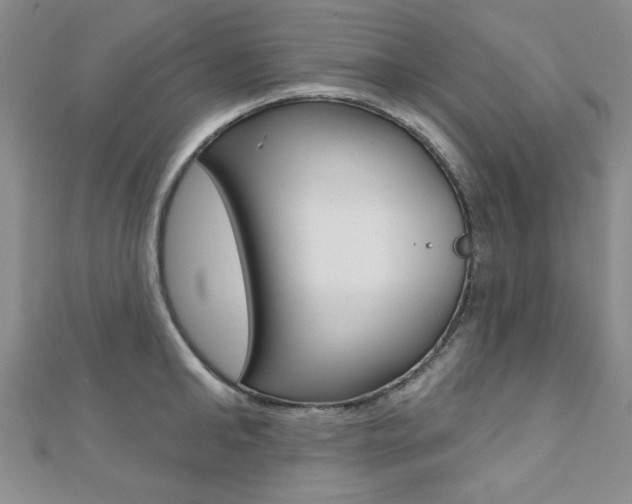 X0000110680902200906121032