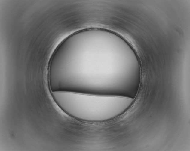 X0000110680903200906121032