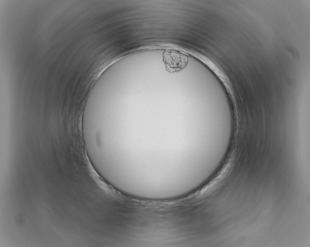 X0000110680905200906121032