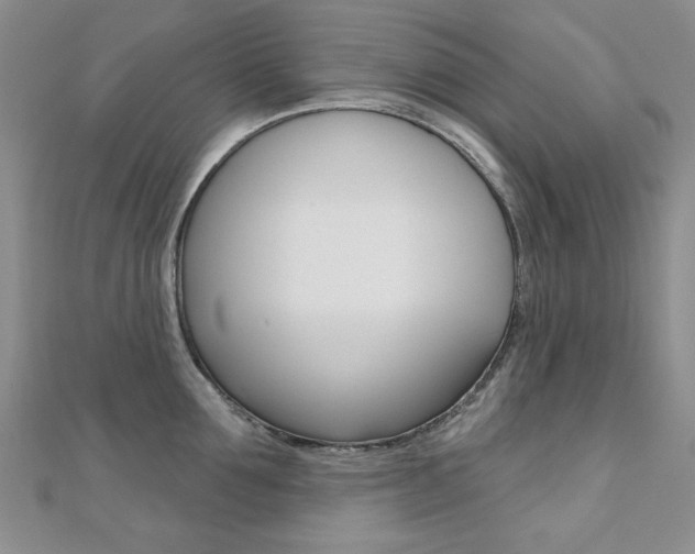 X0000110680907200906121032