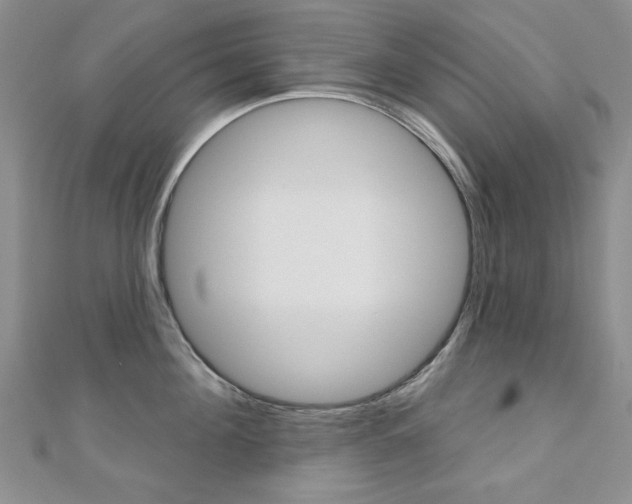 X0000110680908200906121032