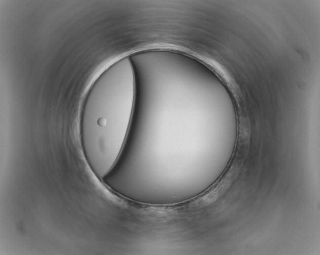 X0000110680910200906121032