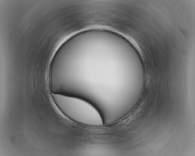 X0000110680911200906121032
